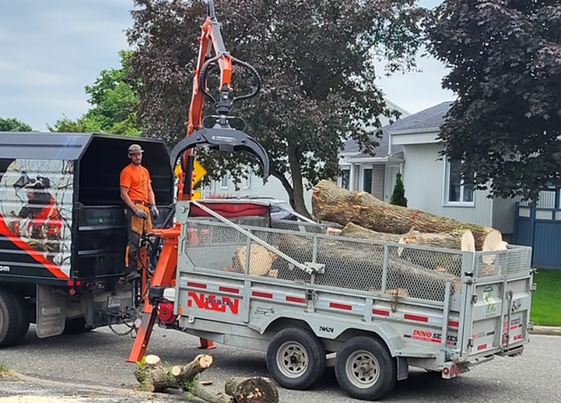 Ramassage de bois à Québec
