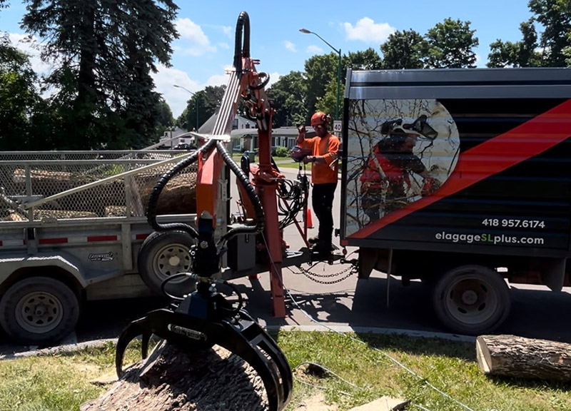 Ramassage de bois à Québec